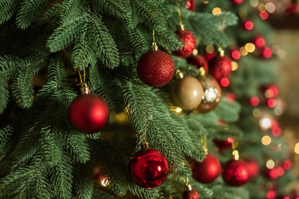 Juletrae