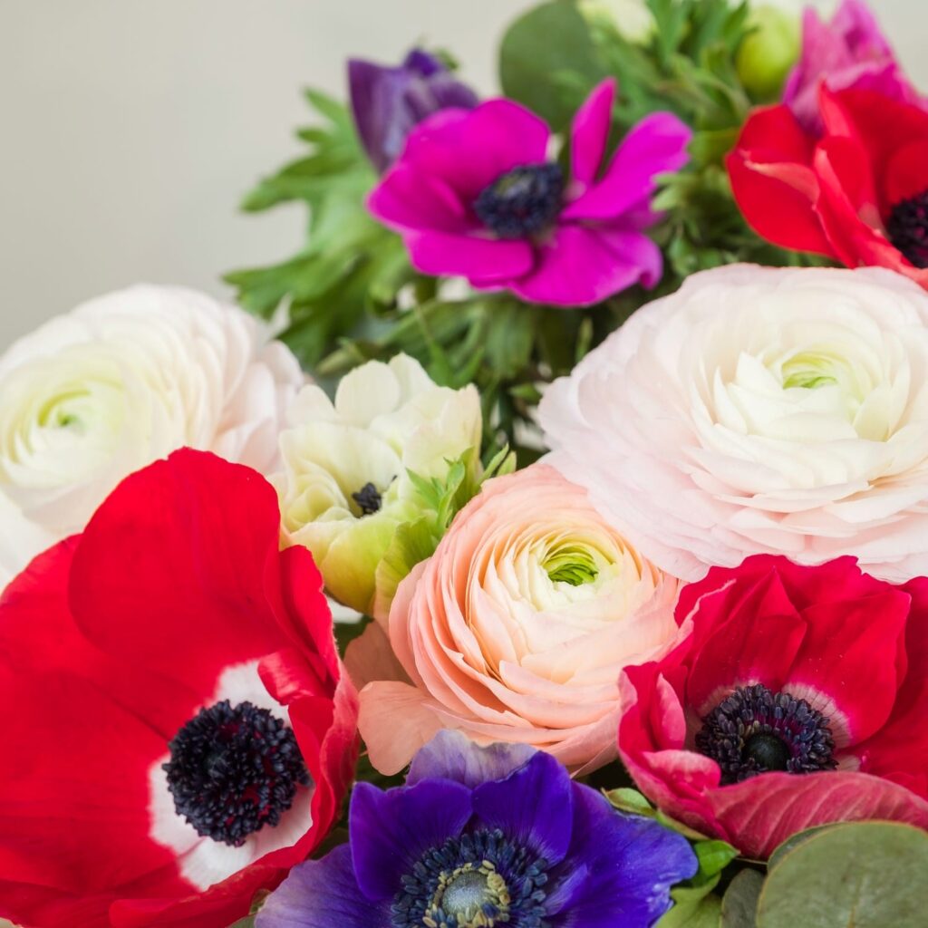 buket af anemoner