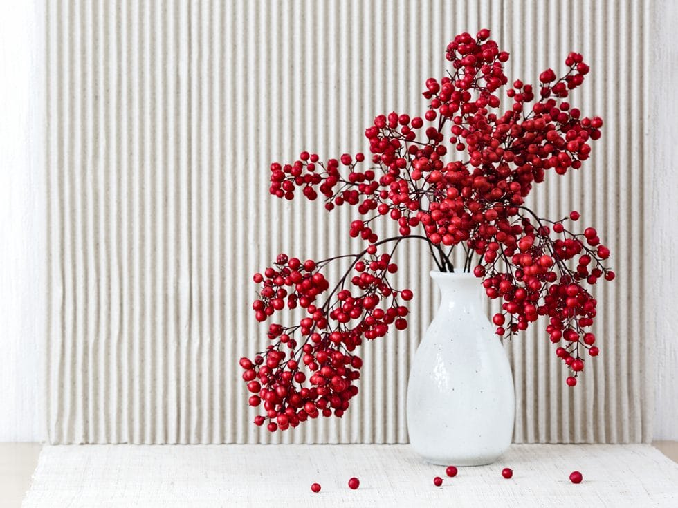 Nandina Domestica i vase