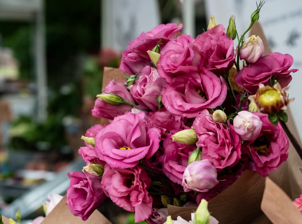 pink llisianthusbuket