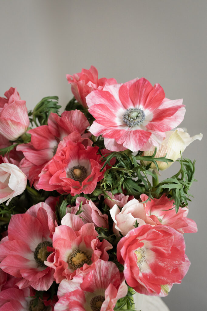 Anemoner