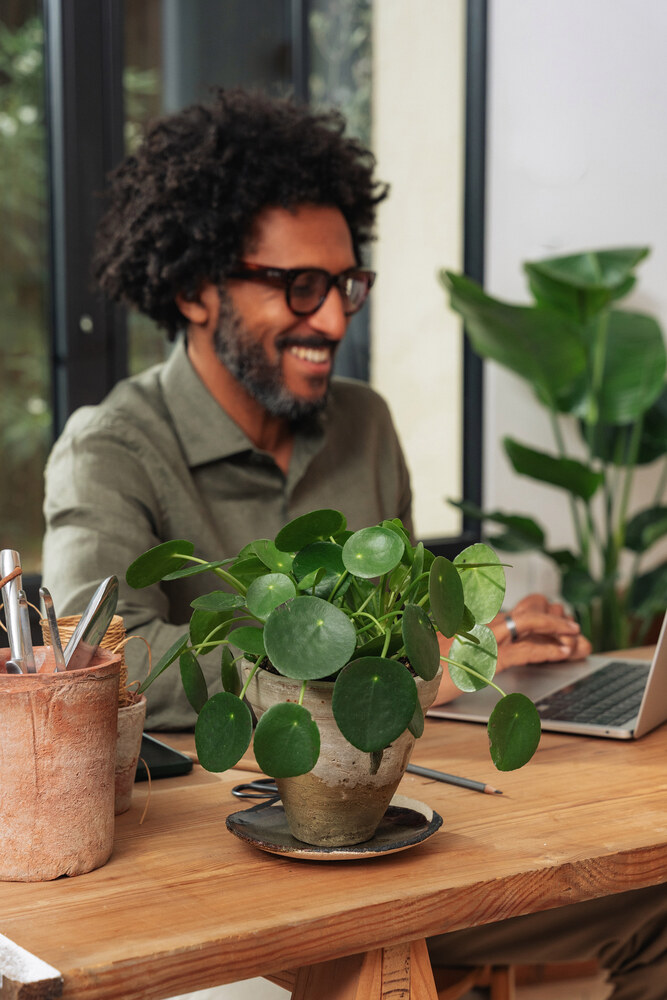 En smilende mand, der arbejder ved sit skrivebord med en plante ved siden af